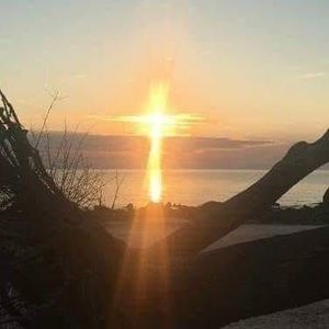 Meet your Posher, Carolyn